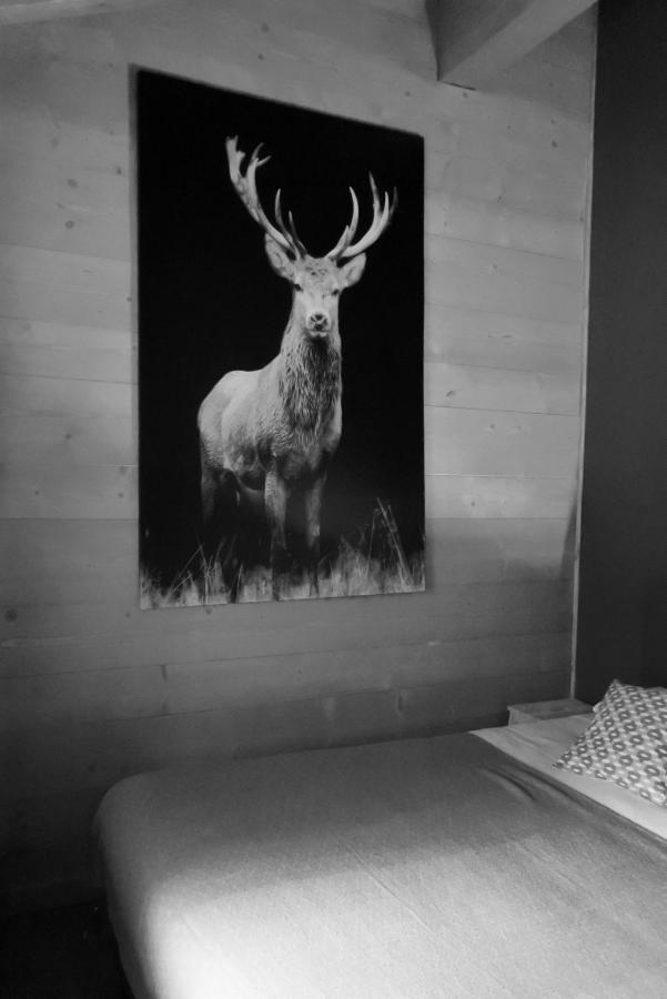 Grand Chalet Le Trappeur - Chamonix Esterno foto