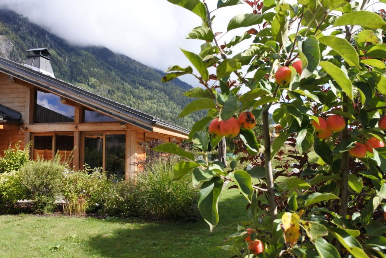 Grand Chalet Le Trappeur - Chamonix Esterno foto